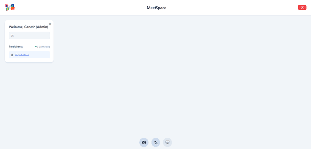 MeetSpace Screen Sharing in Action